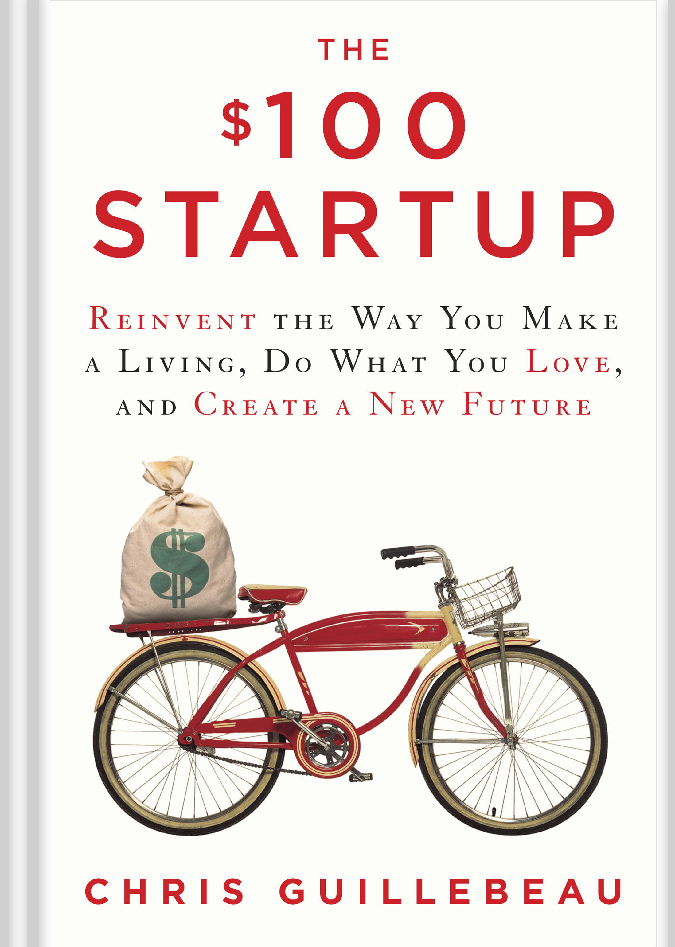 Read more about the article The $100 Startup