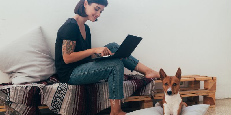 Pretty woman works from home or startup coworking space, sits barefoot on bench and writes code or blog on laptop, her best friend dog puppy lays next to her on pillow
